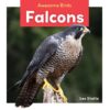 Falcons (Awesome Birds)