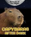 Capybaras After Dark (Animals of the Night)(LB)