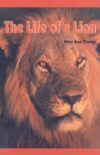 Life of a Lion