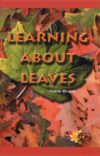 Learning About Leaves