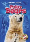 Polar Bears (Animal Safari)
