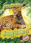 Jaguars (Animals of the Rain Forest)