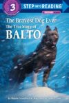 Bravest Dog Ever: The True Story Balto (SIR LVL 3)