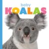 Baby Koalas (Starting Out)