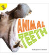 Animal Teeth (Plants Animals and People)