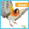 Birds (Animal Classification)