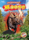 Moose (Animals of the Forest)