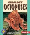 GIANT OCTOPUSES