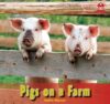 Pigs on a Farm