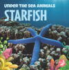 Starfish (Under the Sea Animals)