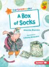 Box of Socks