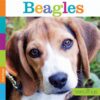 Beagles (Seedlings)