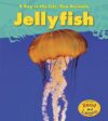 JELLYFISH (DAY IN THE LIFE)