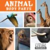 Animal Body Parts (Closer Look at Living Things)