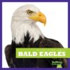Bald Eagles (My First Animal Library)
