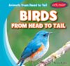 Birds from Head to Tail