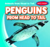 Penguins from Head to Tail