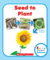 Seed to Plant (Rookie Read-About Science: Life Cyc
