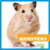 Hamsters (MY FIRST PET)