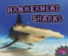 Hammerhead Sharks (All about Sharks)