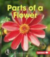 Parts of a Flower