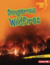 Dangerous Wildfires (Earth in Danger)(LB)