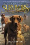Into the Shadows #3 (Survivors: The Gathering Dark
