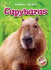 Capybaras (Animal Safari)