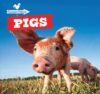 Pigs
