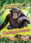 Chimpanzees (Animals of the Rain Forest)