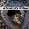 Squirrel's Hollow