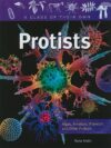 Protists: Algae Amoebas Plankton and Other Protist