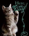 Here Kitty!