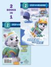 Break the Ice! / Everest Saves the Day (SIR Lvl 2)