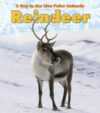 Reindeer (Day in the Life: Polar Animals)