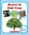 Acorn to Oak Tree (Rookie Read-About Science: Life