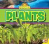 Plants (All about Summer)