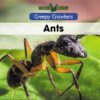 Ants (Creepy Crawlers)