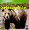 Grizzly Bears