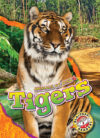 Tigers (Animals at Risk)