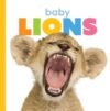 Baby Lions (Starting Out)