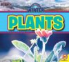 Plants (All about Winter)