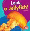 Look a Jellyfish!