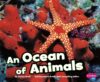 Ocean of Animals