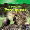 Prickle of Porcupines