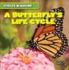 Butterfly's Life Cycle