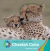 Cheetah Cubs (Babies at the Zoo)