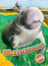 Manatees (Animals at Risk)