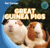 Great Guinea Pigs (Pet Corner)