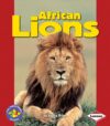 African Lions (Pull Ahead Books -- Animals)